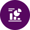 Data Analytics Audit icon