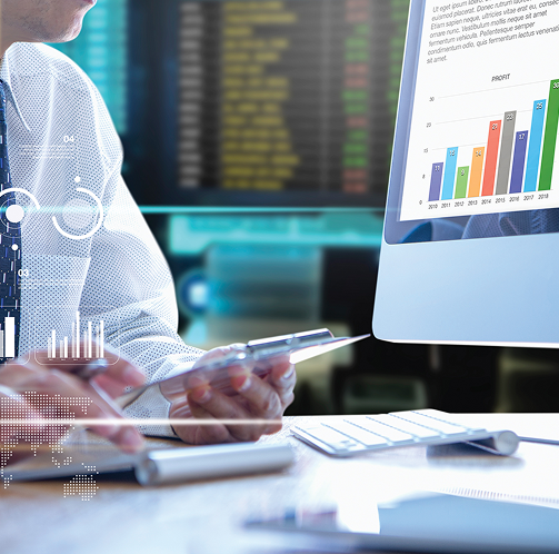 Data Analytics Audit