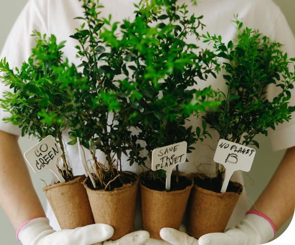 Green Chemistry for a Cleaner Planet